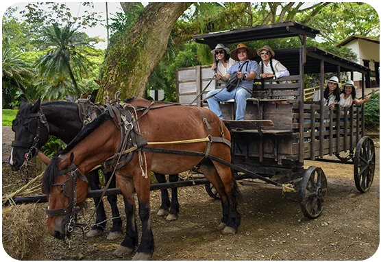 Amazonas — publicación de una temporada anterior