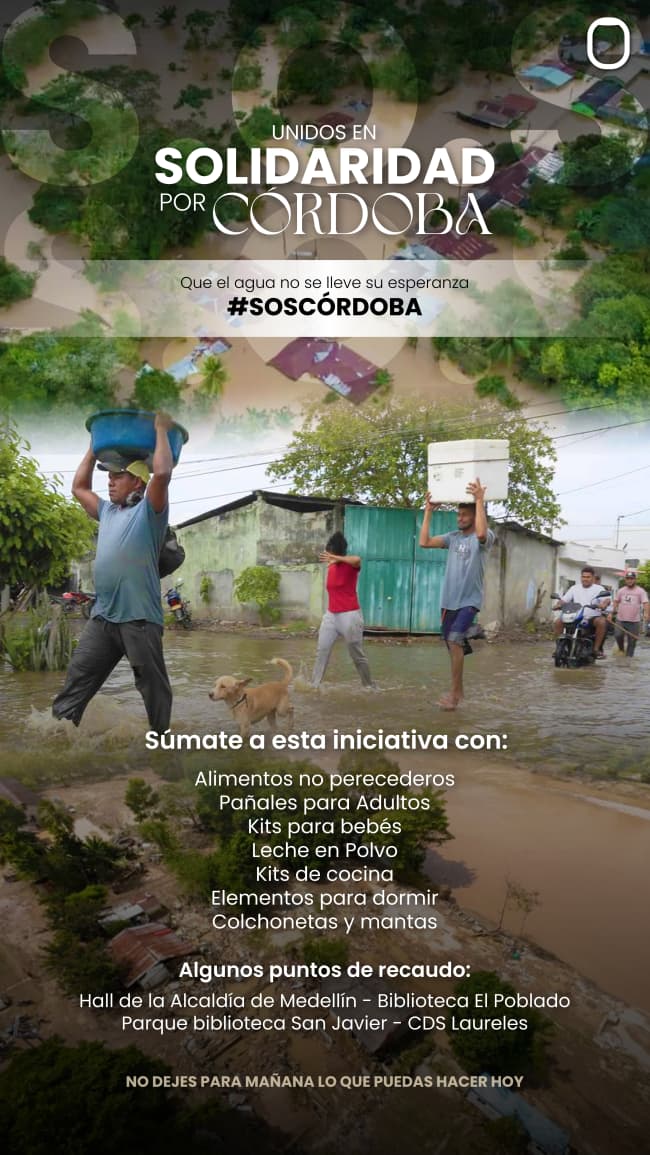 WhatsApp Image 2026-02-10 at 11.11.23 AM